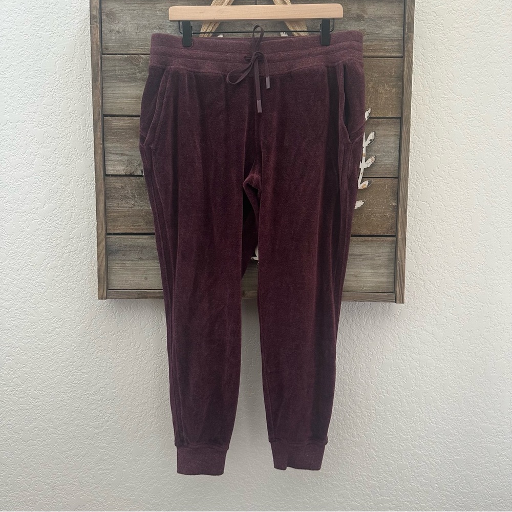 Lululemon Heathered Plum‎ Warm Down Velvet Velour feel Jogger Size 12